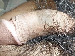 slideshow - cock -  penis