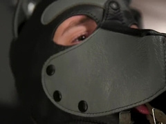 Devin Trez Disciplines fresh Mutt with Powerful Restrain Bondage