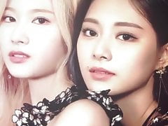 TWICE Sana and Tzuyu Cum Tribute