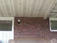 Old friend pisses off the porch again