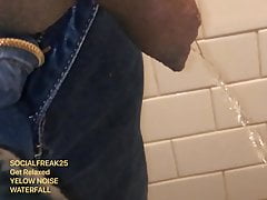Golden Noise,  waterfall of piss
