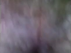 Hi KC Dane Viking a Ginger Teddy