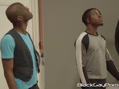 Casting with black studs Black Mamba and Blaine Porter ends up with wild raw breeding