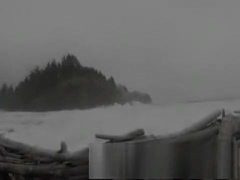 Blackey Madison é deliciosamente chupado no carro