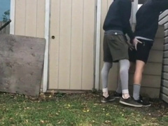 Backyard Amateur Love