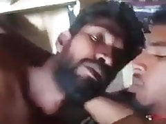 Sinhala gay