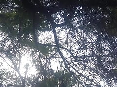 Apni Chachi Ko Dekhkar nanga ho gaya jungle mein jakar sex karne Lag