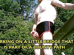 RISKY OPEN JACKING ON A PARK BRIDGE JULY 2011