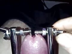 CBT