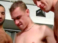 Gay, grizzly, oral pleasure