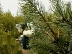 Boy Crash 480p