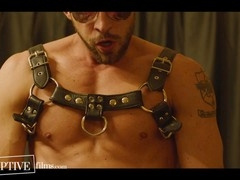 Funny, top, gay anal plug