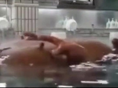 ASIAN SAUNA