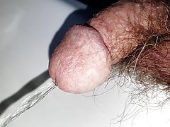 Close up slow motion hairy cock piss