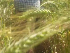 Анальный секс, Азиатки, Жопа, Индианки, Соски, Бассейн, На публике, Киски