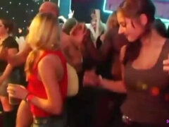 Grosse bite, Sucer une bite, Club, Dingue, En levrette, Branlette thaïlandaise, Interracial, Orgie