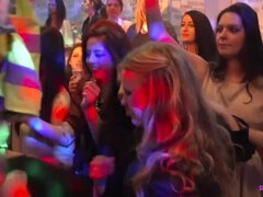 Amateur, Mamada, Loco, Grupo, Pajear, Tetas naturales, Orgía, Fiesta