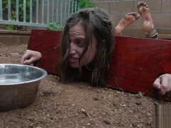 Kont, Bondage discipline sadomasochisme, Bruinharig, Vrouw, Hardcore, Hd, Orgasme, Alleen