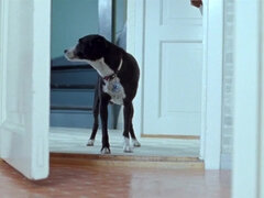 美人, フェラチオ, セレブ, 古典, イマラチオ, チン, Hd, 乳首