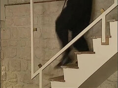 Blasen, Europäisch, Orgie, Vintage