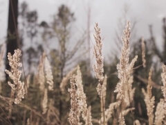 Cul, Gros cul, Classique, Gorge profonde, Hd, Mère que j'aimerais baiser, De plein air, Chatte