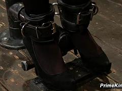 Sadomasochismus, Fesselspiele, Doppelpenetration, Weibliche domination, Würgen, Hardcore, Lesbisch, Vibrator