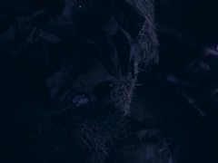 Anal, Armée, Sucer une bite, Éjaculer dans la bouche, Hard, Adolescente, Plan cul à trois, Jouets