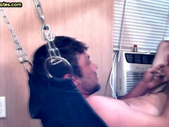 Enthousiasteling, Anaal, Pijpbeurt, Homo, Rijpe lesbienne, Pornster, Tatoeage