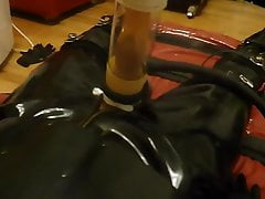 Milker and Rubber Segufix