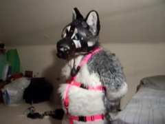 Fursuit sex 7