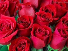 Bangladeshi, ai, mature