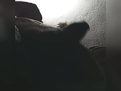 Exhibitionist Chubby bator Panda mexican playing smallcock in the morning