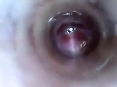 look inside cock endoscope with tube introducing cam deep