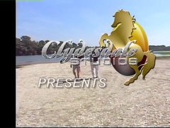 GAYMALE - Butt-Hole Pirates #1