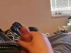 Young bear cum