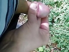 Abspritzen im Wald