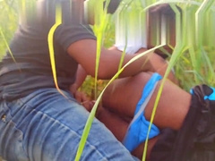 Bangladeshi Young Mary Dude Nailing on Sugarcane Area - Outdoor Super-Hot Hump - Zm Official