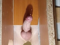 Demolished ejaculation, leisurely edged