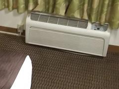 This guy is clearly a natural-born cocksucker