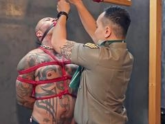 Hd, domination & submission, jerks off