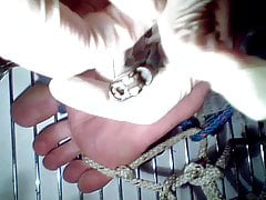 self foot torture session 01, falaka, bastinado