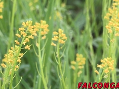 Hot and steamy anal session with two muscular hunks