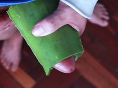 Usingt Aloe As Lube To Jerk Off And Tease My Uncut Dick