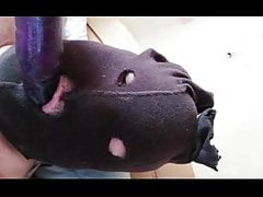 leckt es der laenge nach auf