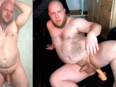 Hairy chub, fat bears, german