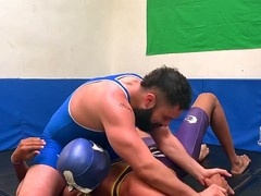 Fighting, wrestling gay, pelea lucha