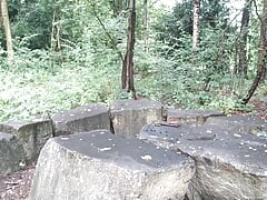 Picnic place