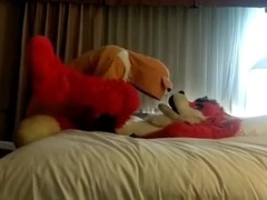 Ramming the Fox