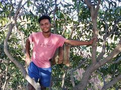 Agriculture Forest Mango tree Gay Romantic video in Hindi language