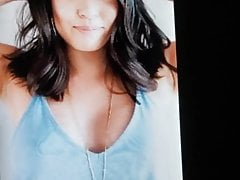 Linda Cum Tribute 2